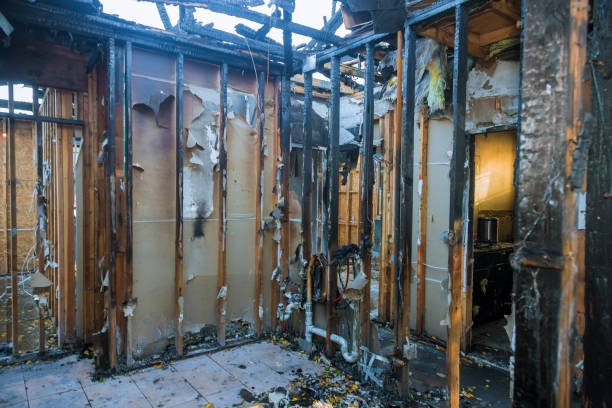 Professional Soot Cleanup technician working in Christopher, IL
